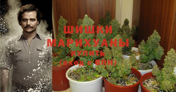 PSILOCYBIN Арсеньев
