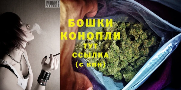 PSILOCYBIN Арсеньев