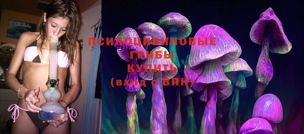 дмт Армянск