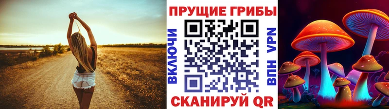 где купить   Дюртюли  Галлюциногенные грибы Cubensis 